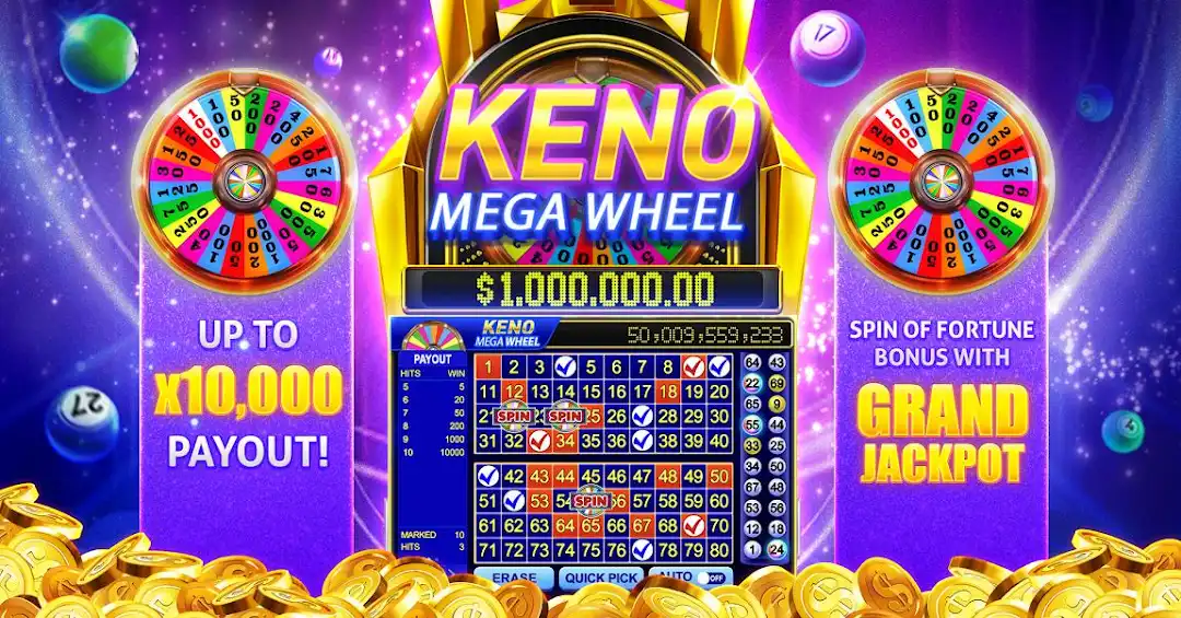 3333bet mugni cassino livre